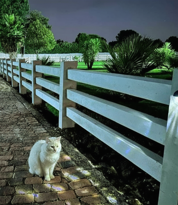 Ranch Rail Fencing MFB Walling East Rand