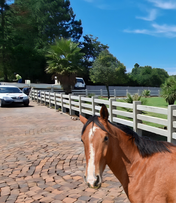 Concrete Ranch Fencing Equestrian Estates Schools Plots Farms